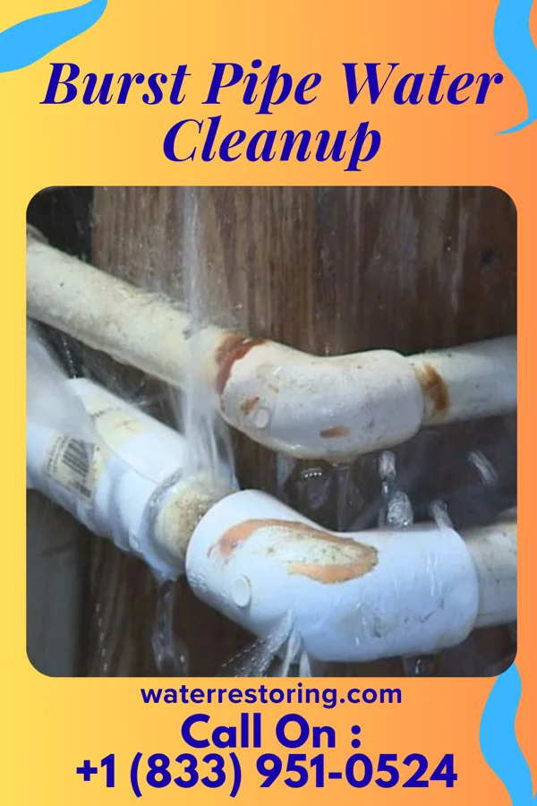 Burst Pipe Water Cleanup in Hart, TX